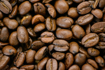 Roasted coffee beans on rustic wooden table background