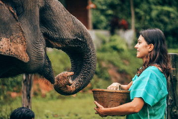 Girl having fun with elephants at Patara Elephant Farm, Chiang Mai, Thailand