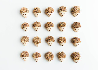Neatly organized pecan and dark chocolate covered hedgehog cookies on white background