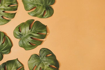 Creative composition made with tropical monstera leaves on pastel orange background. Summer natural pattern.