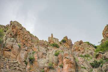 Naklejka premium my photos