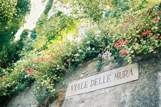 Viale Delle Mura