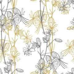 Bladder campion flowers. Set of drawing cornflowers, floral elements, hand drawn botanical illustration. Good for cosmetics, medicine, treating, aromatherapy, nursing, package design, field bouquet