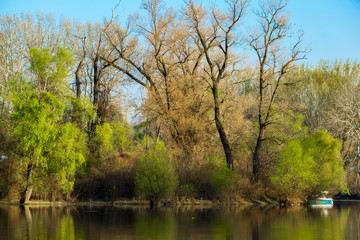 Fototapeta na wymiar Early spring trees on the shore of the lake