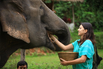 Girl having fun with elephants at Patara Elephant Farm, Chiang Mai, Thailand