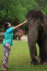 Girl having fun with elephants at Patara Elephant Farm, Chiang Mai, Thailand