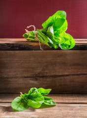 Fresh green spinach on a wooden background