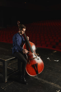 Musician playing Double bass on stage