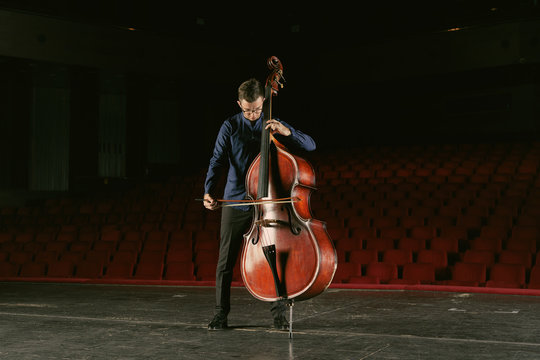 Musician playing Double bass on stage