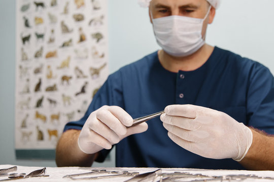 Vet preparing tools for operation
