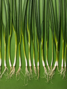 Composition of green scallions