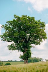 Obraz premium Reportage photo our l'office du tourisme de la Vallée de Loire et du Cher