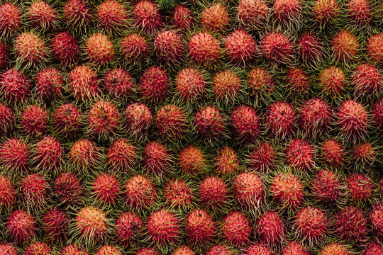 Rambutan Fruit Pile