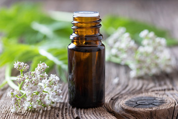 A bottle of valerian essential oil with fresh valerian twigs