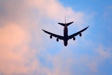 Flugzeug