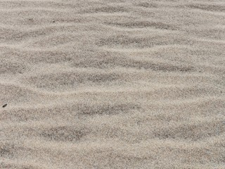 Fototapeta na wymiar summer holiday sand beach shoe sun wind waves