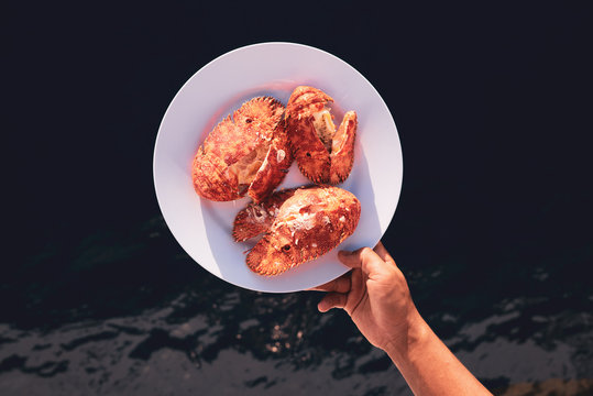 Fresh fresh fresh seafood
