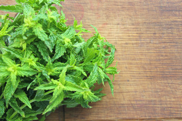 A bunch of fresh green mint on a wooden rustic table. Copy space.
