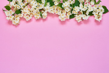 Obraz na płótnie Canvas Jasmine, Philadelphus or mock-orange flowers border on pink background. Copy space, top view. Summer, spring background.
