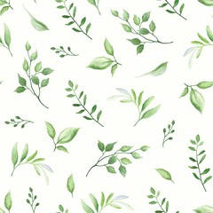 Fototapety  Wzór z zielonych liści, ilustracji wektorowych w stylu vintage akwarela.