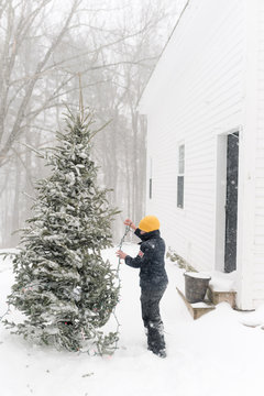 little boy putting lights up on a Christmas tree in the snow.