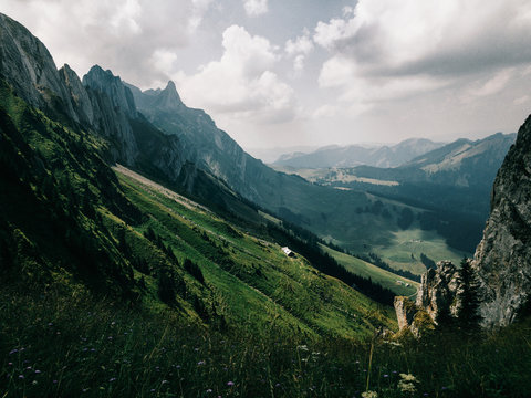 Green Alpine Summer Meadow With Peaks