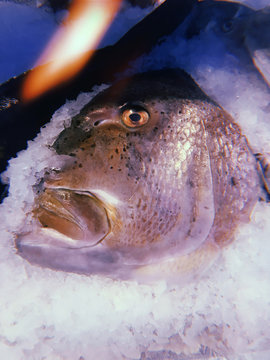 Frozen fish