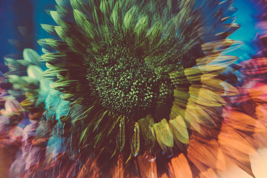 Close up of prismatic image of sunflower