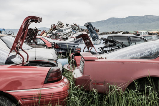 Vehicle Scrapyard