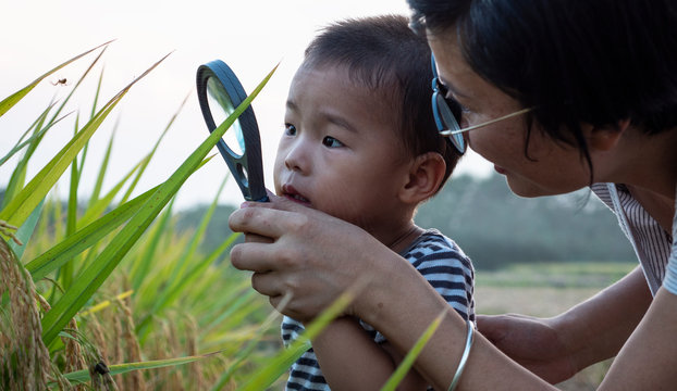 kid looking at spider in the rice paddy