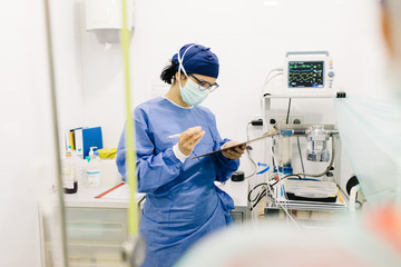 Veterinarian providing operation in clinic