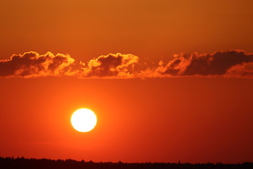 Sunset over the forest. Setting shining sun and dark clouds on a orange sky