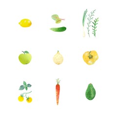 Poster with vegetables, greenery and fruits, symbols healthy eating. Vector set for your design, illustration in flat style with watercolor texture.