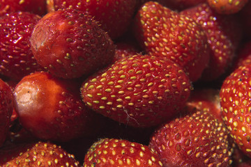 home-grown red strawberry