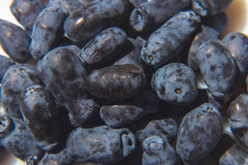 freshly ripened blue honeysuckle