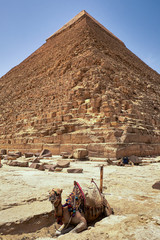 Camels in front of the The Pyramid of Khafre (Pyramid of Chephren), the second-tallest and...