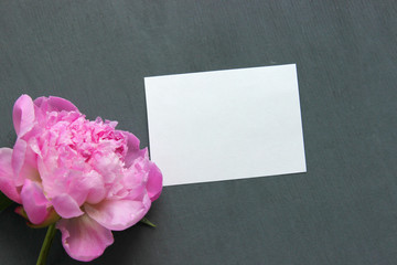Obraz na płótnie Canvas Pink Peonies.Big charming fresh flower pion on a dark gray stone table.Copy space.