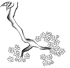 Fototapeta premium Imitation of ink painted branches in black and white with blossoms.
