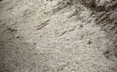 White stones nature