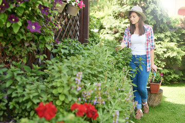 Full length of attractive Caucasian brunette with straw hat on head and dressed casual taking care of her flowers in backyard.