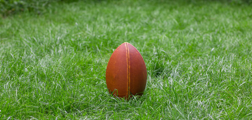 brown rugby ball on the lawn