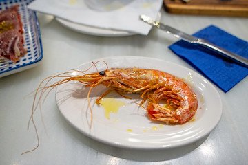 Big prawn on a small plate in a typical spanish restaurant