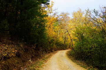 Landscape image of dirt countryside dirt road with colorful autumn leaves and trees in forest of Mersin, Turkey