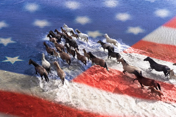 Horses are crossing the river. View from above.