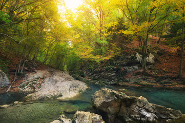 River deep in mountain forest. Nature composition.