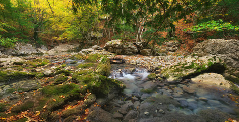 River in autumn forest. Nature composition.