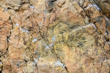 natural stone texture with brown white specks close-up