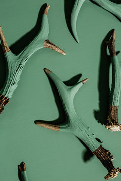 Antlers