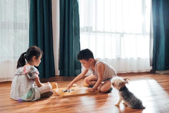 Cute boy and girl playing the game of go at home