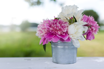 Beautiful soft pink peonies in vase on white wooden background outdoors. Summer flowers in blossom. Nature, fresh pink flowers concept